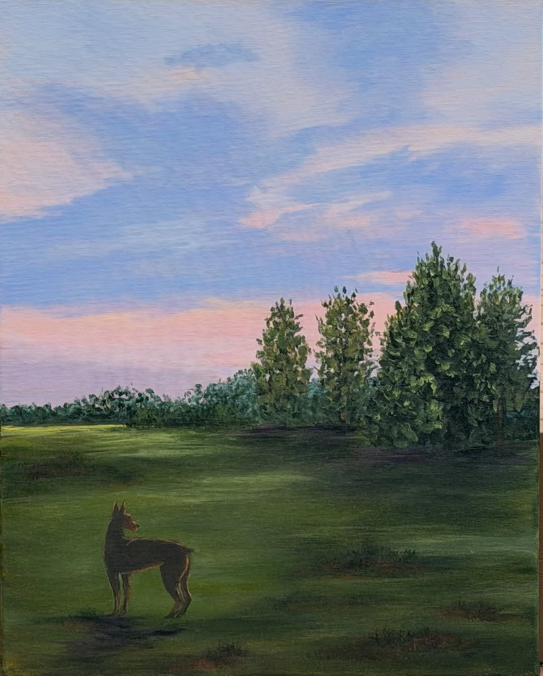 Backyard Under a Pink Sky