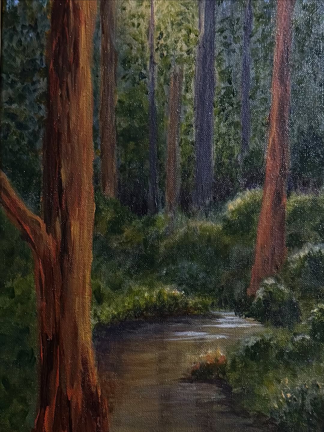 Forest Creek