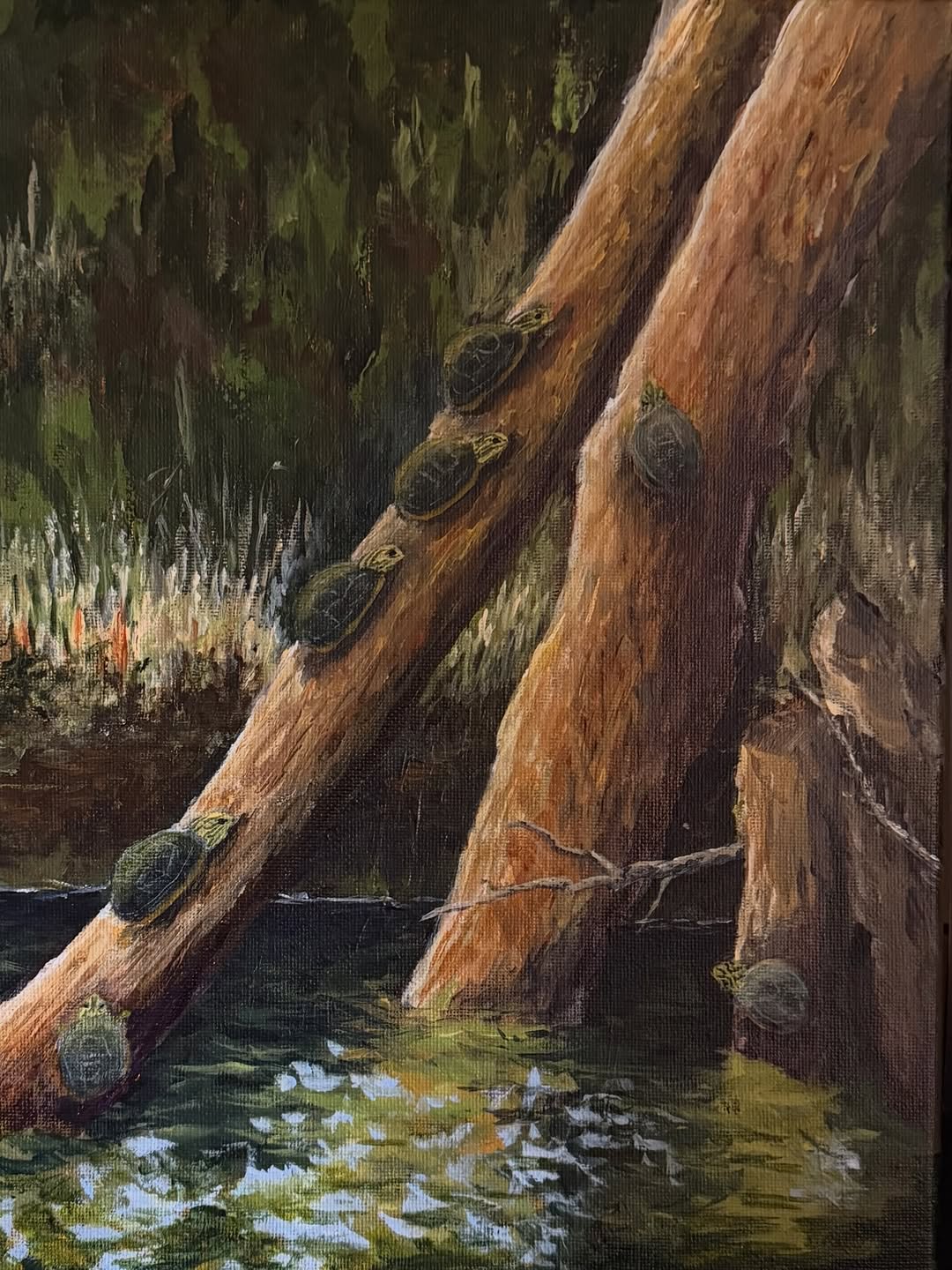 Riverbank Memories
